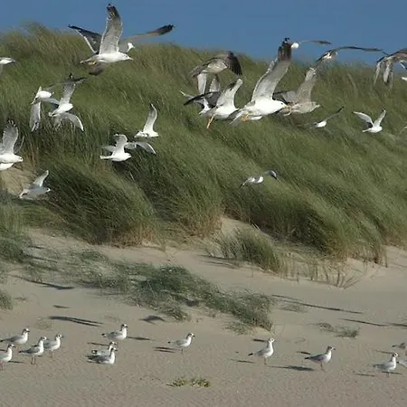 Ab Du Parc 아파트