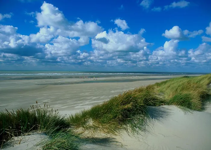 Ab Du Parc Neufchâtel-Hardelot