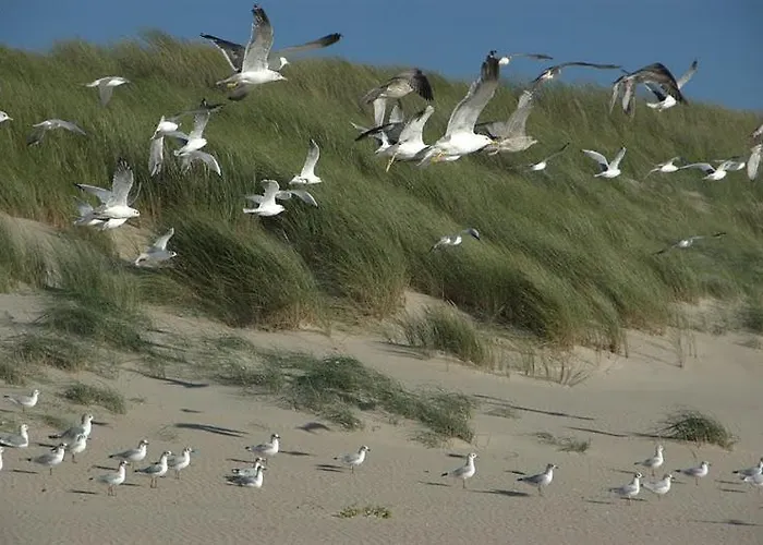 Ab Du Parc Appartement